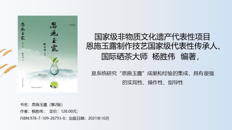 幻灯片9