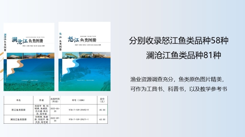 幻灯片23