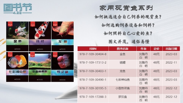 幻灯片13