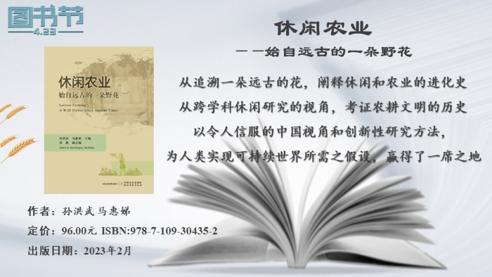 幻灯片20