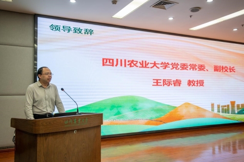 王际睿