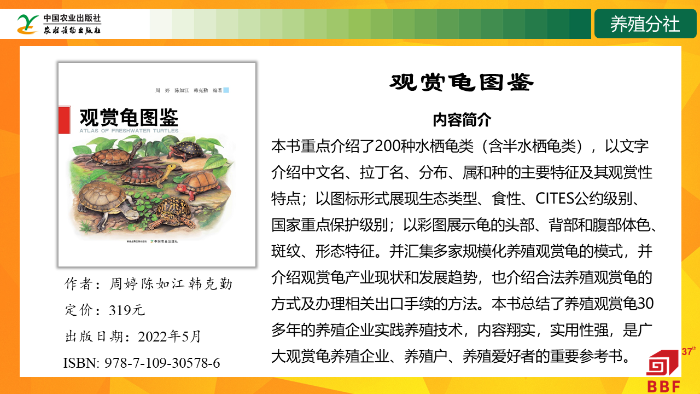 幻灯片11