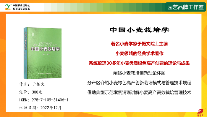 幻灯片4