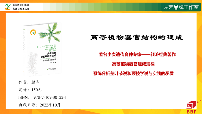 幻灯片5