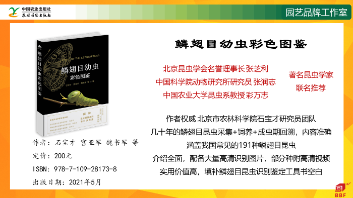 幻灯片10