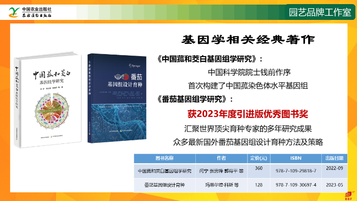 幻灯片11
