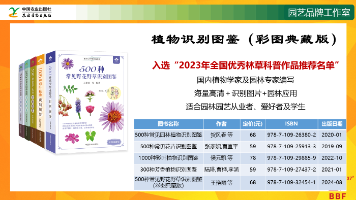 幻灯片23