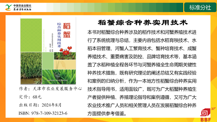 幻灯片13