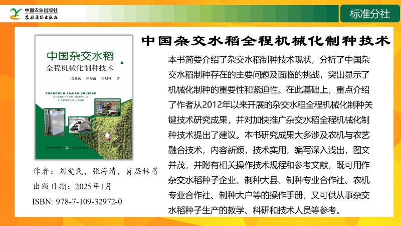幻灯片13