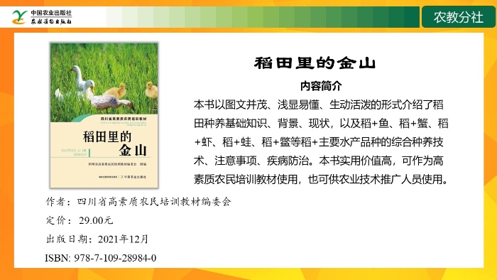 幻灯片13