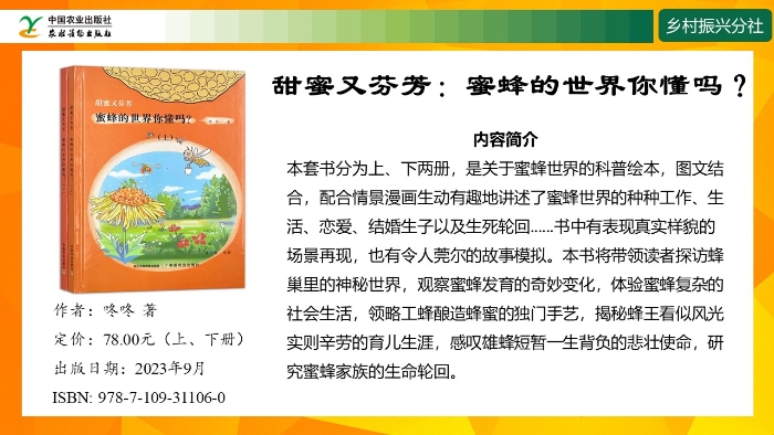 幻灯片17