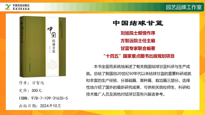 幻灯片1