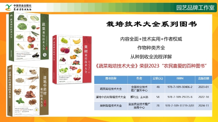 幻灯片11