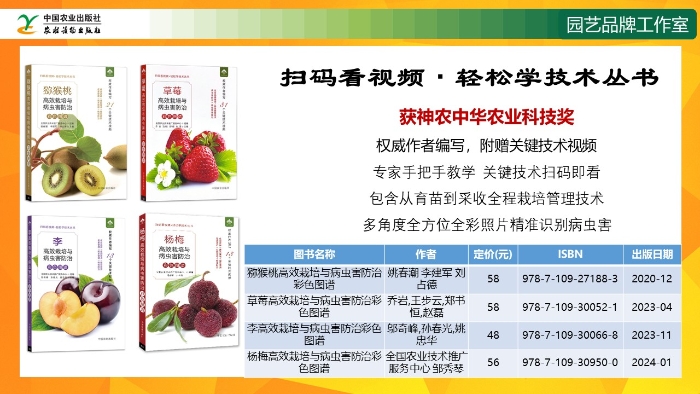 幻灯片12