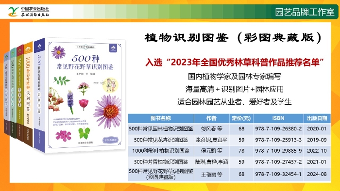 幻灯片15