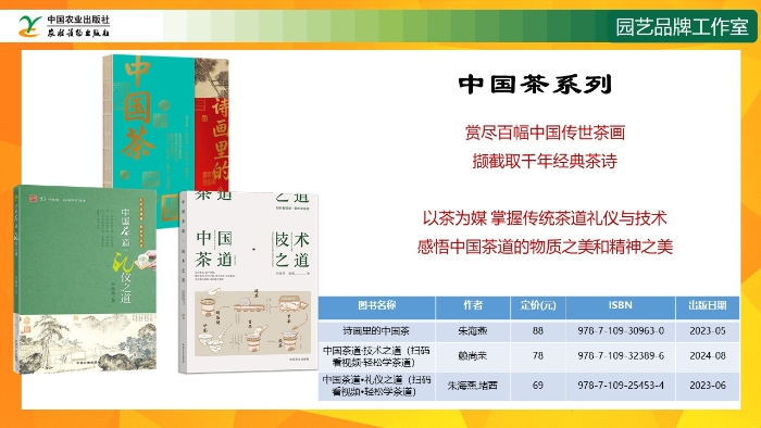 幻灯片19