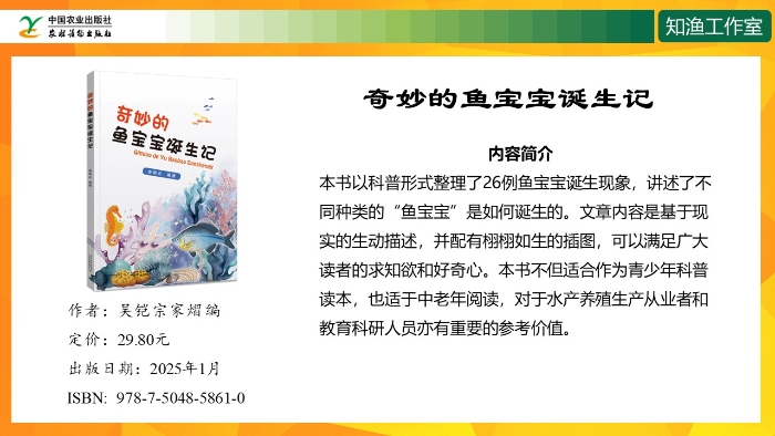 幻灯片5