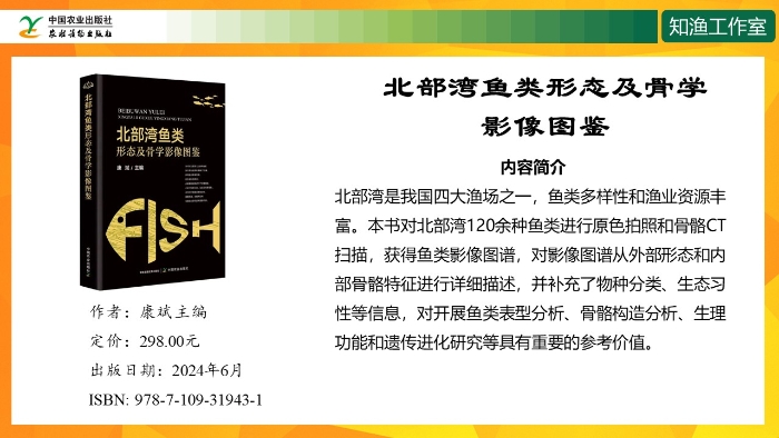 幻灯片7