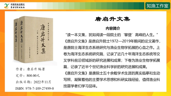 幻灯片10