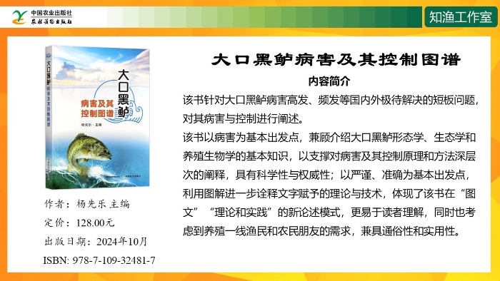 幻灯片12