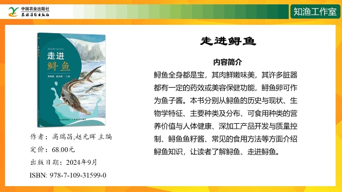 幻灯片16