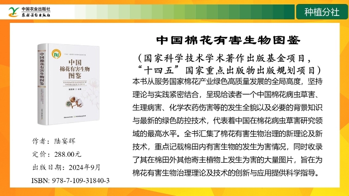 幻灯片7
