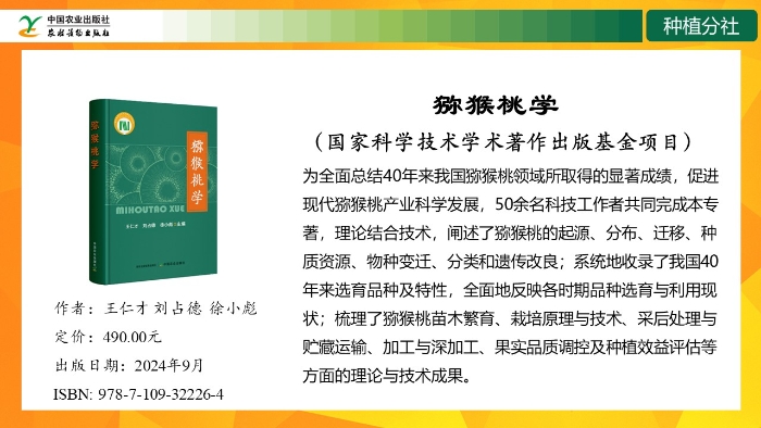 幻灯片8