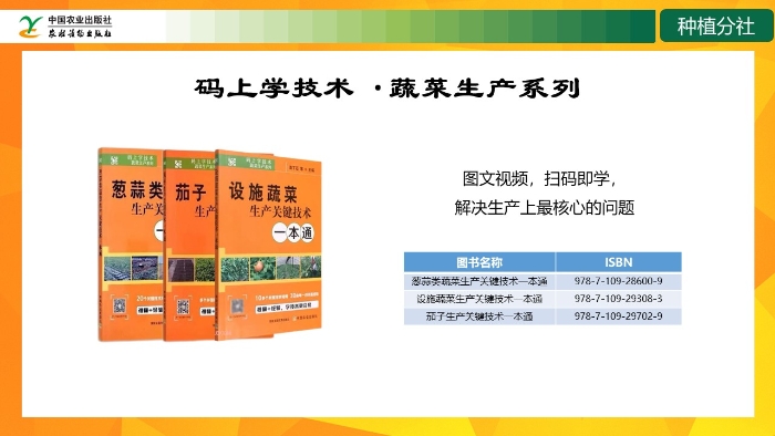 幻灯片17