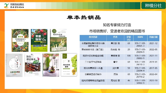 幻灯片30