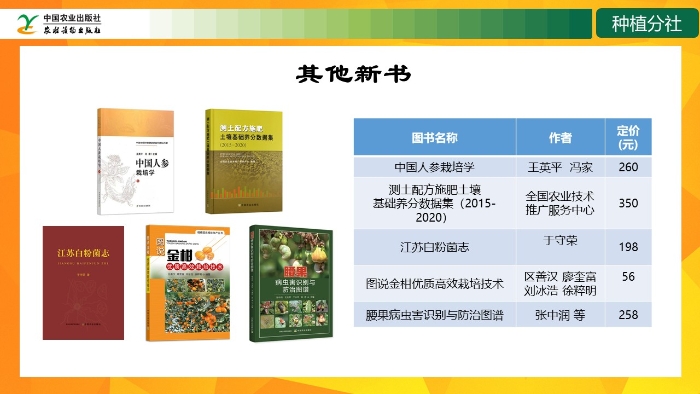 幻灯片31