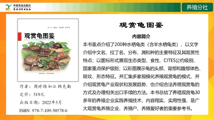幻灯片11
