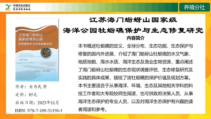 幻灯片13