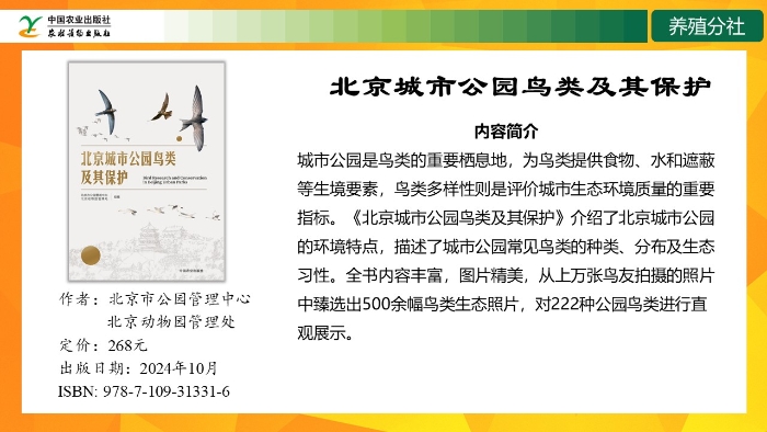 幻灯片15